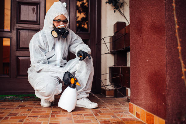 Attic and Crawl Space Rodent Treatment in Verdi