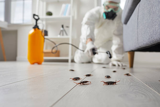 Commercial Rodent Management in Verdi
